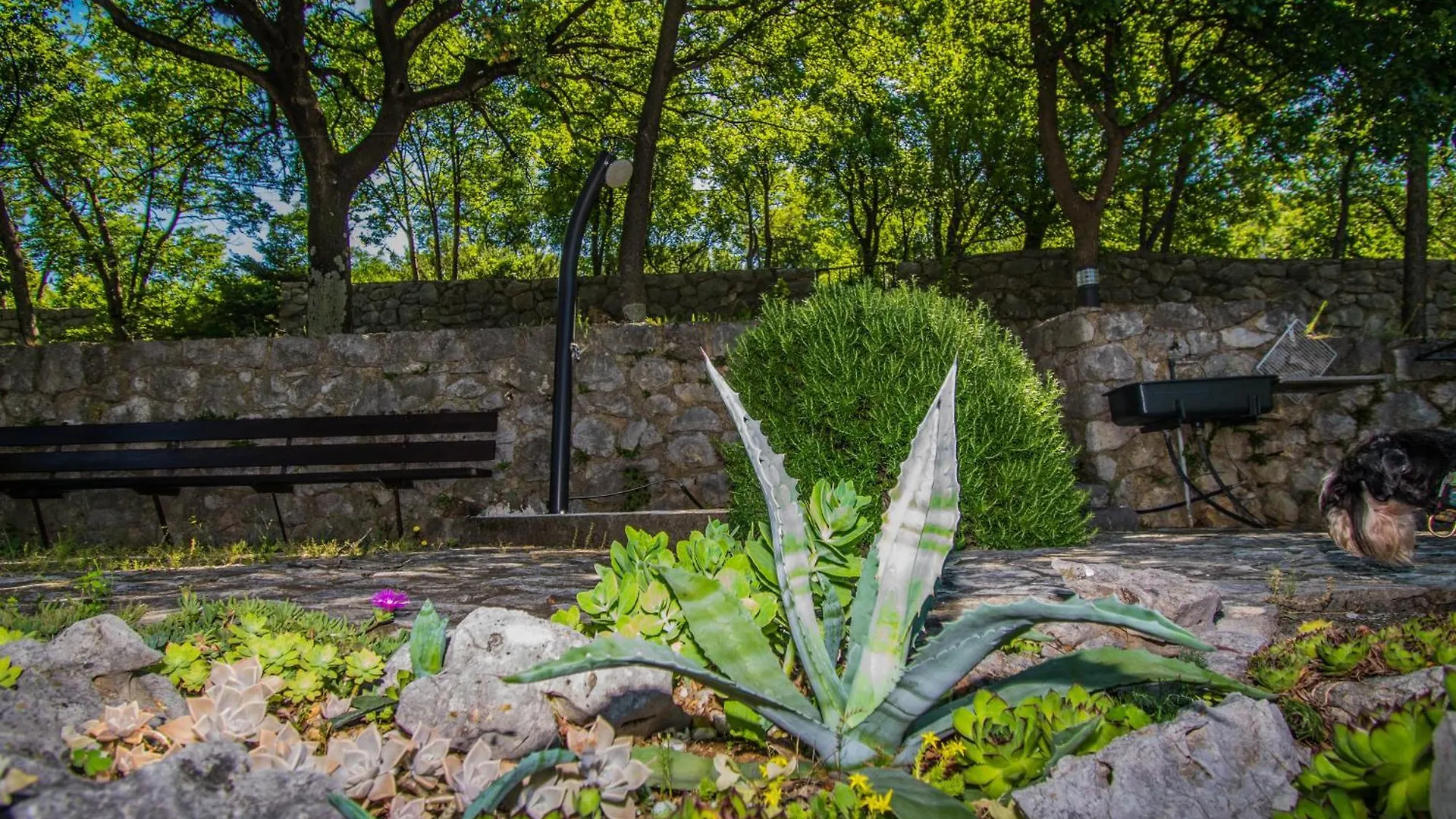 Apartment Vincent With Beautiful Sea View Terrace Klenovica